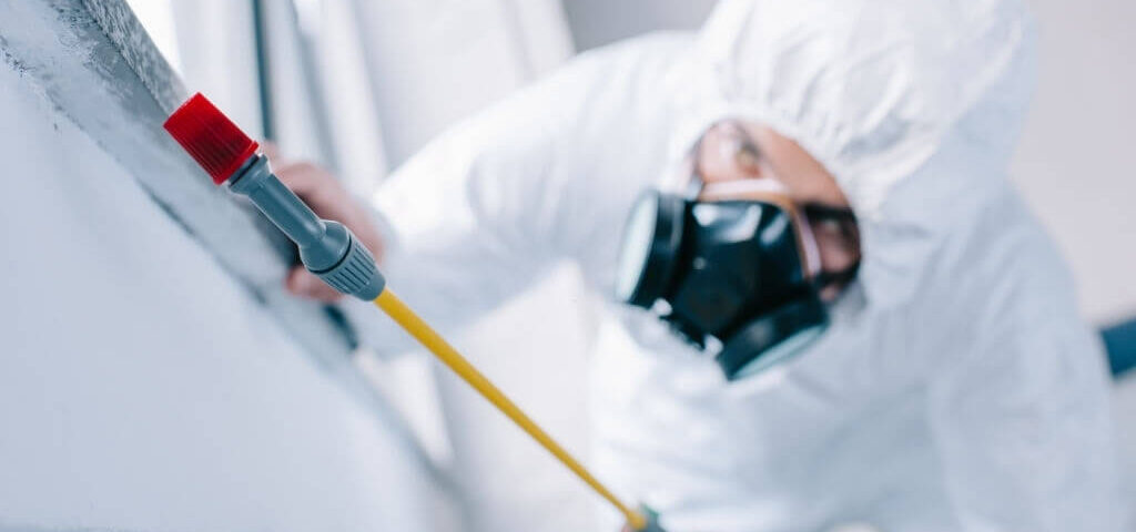 Pest Control Services in Chicago