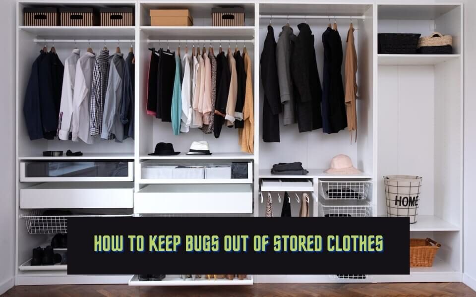 How To Keep Bugs Out Of Stored Clothes - Pest Control Chicagoland