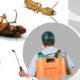 Pest Extermination Services