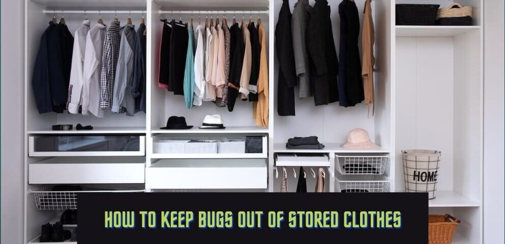 How To Keep Bugs Out Of Stored Clothes - Pest Control Chicagoland