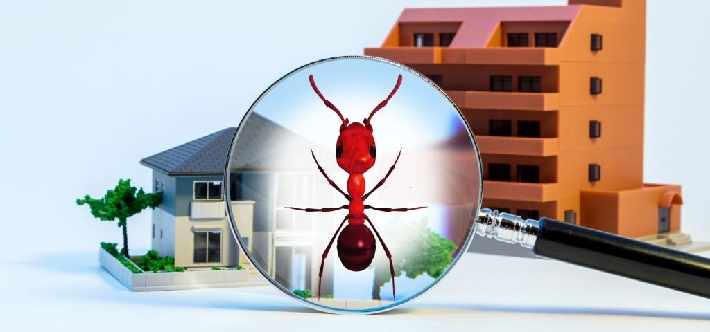 Residential and Commercial Pest Control Service