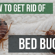 Get Rid Of Be Bugs Chicagoland